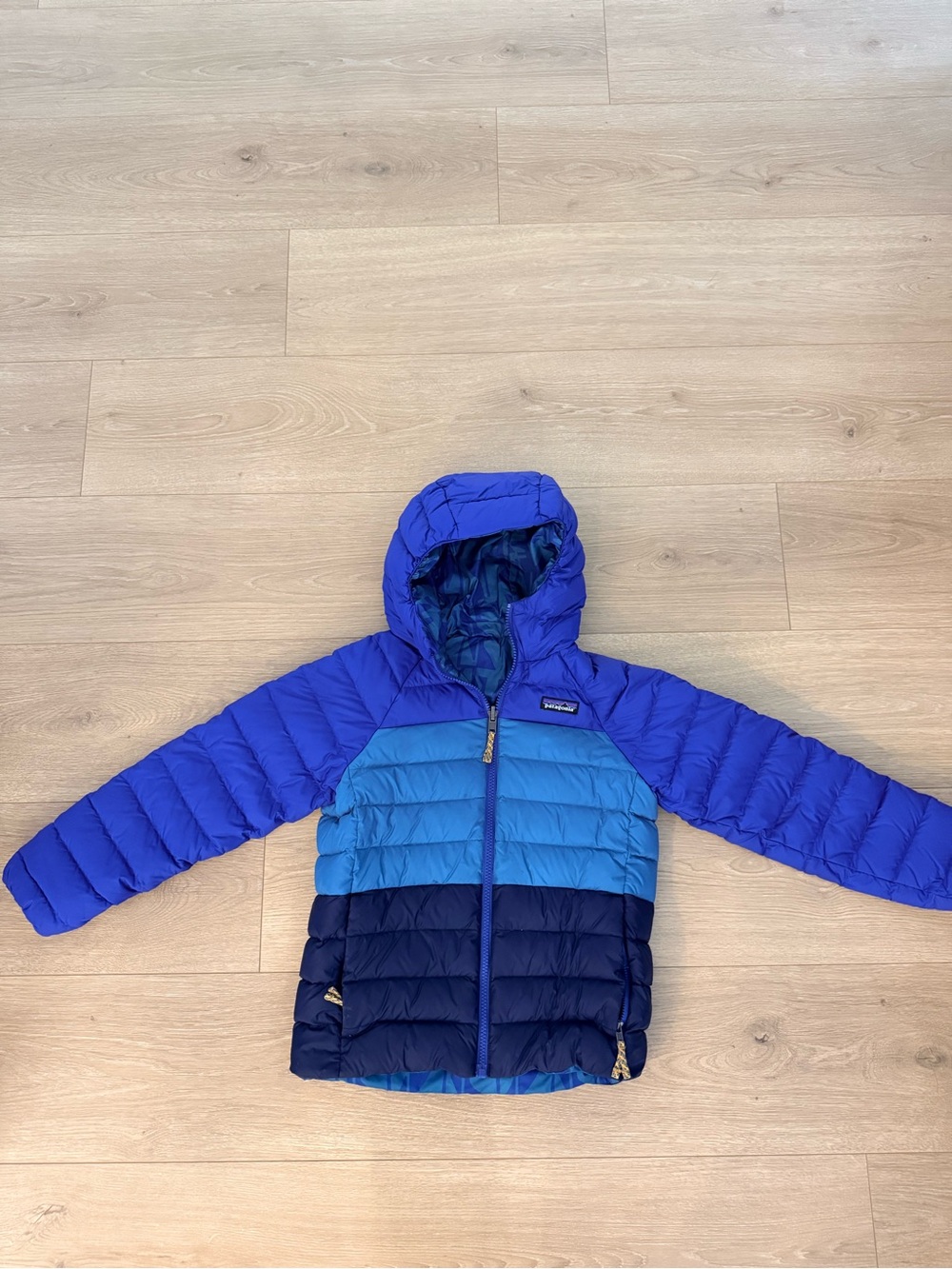 Patagonia Kids Blue Colorblock Hooded Puffer Jacket